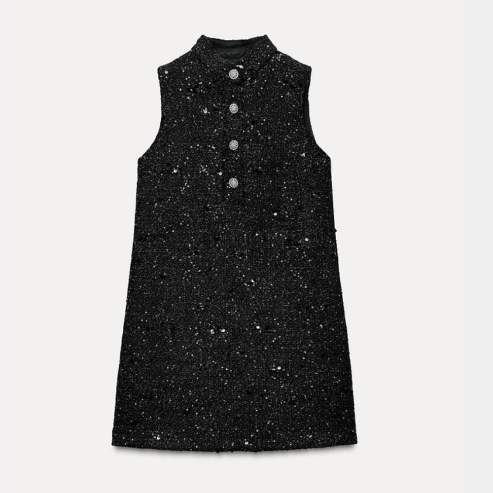 NWT Zara sequined dress